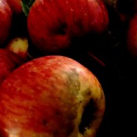 La revolución de las manzanas La revolución de las manzanas
